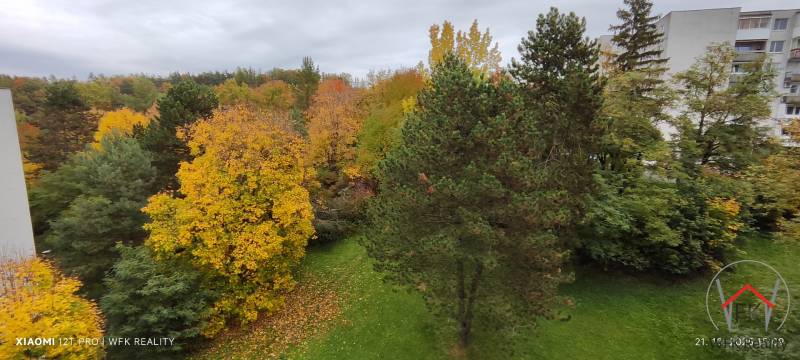 IMG_20251021_150903.jpg